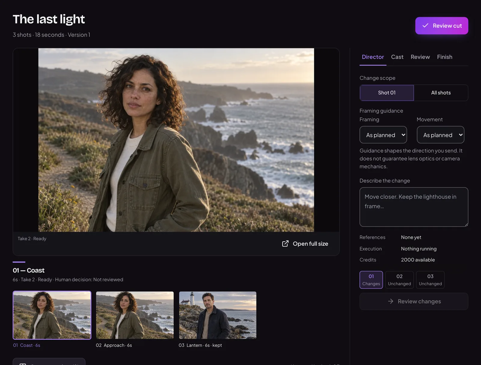 A SocialFly project: the selected shot on a large stage, a strip of three shots below it, and the Director panel beside it with a box to describe a change.